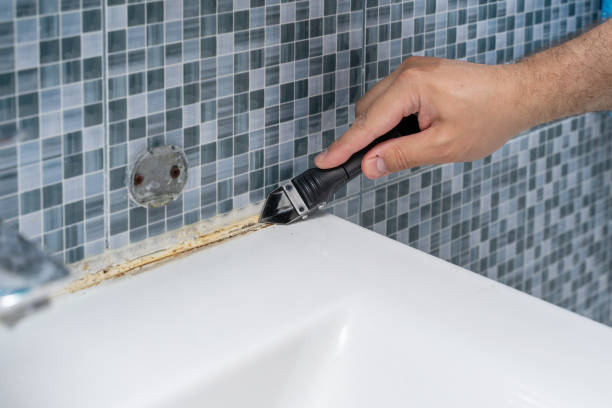 Best Emergency Mold Remediation in Markle, IN